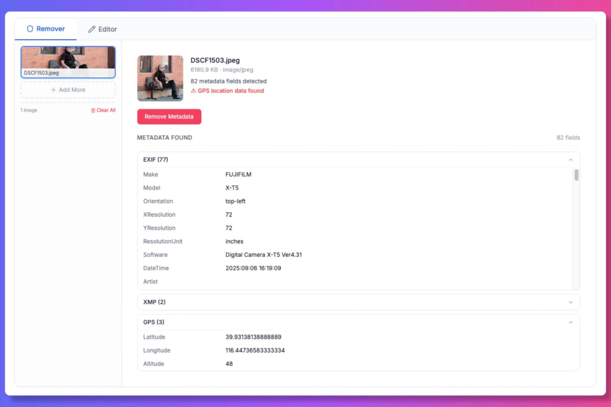 Revise e Remova Metadados