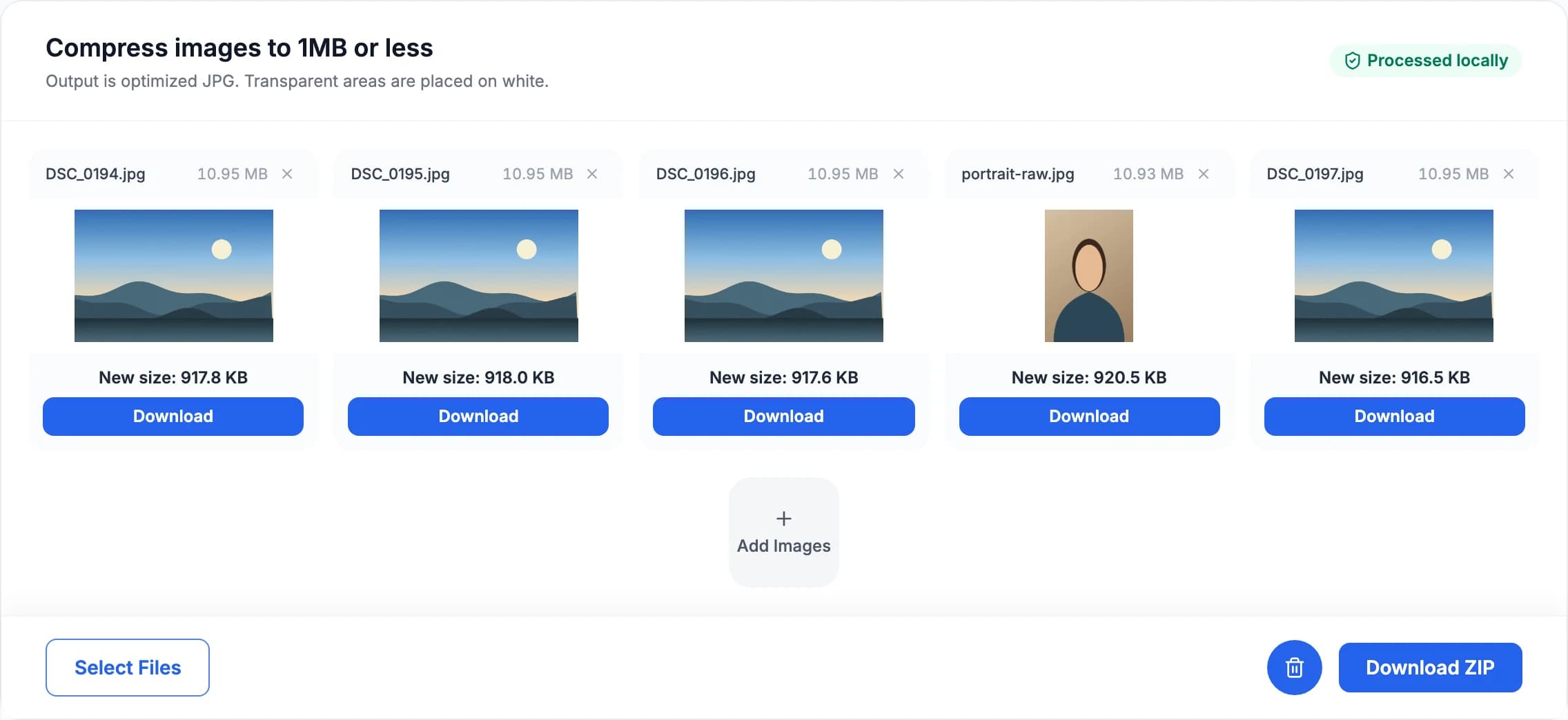 Demonstration of compressing large camera photos to 1MB in-browser
