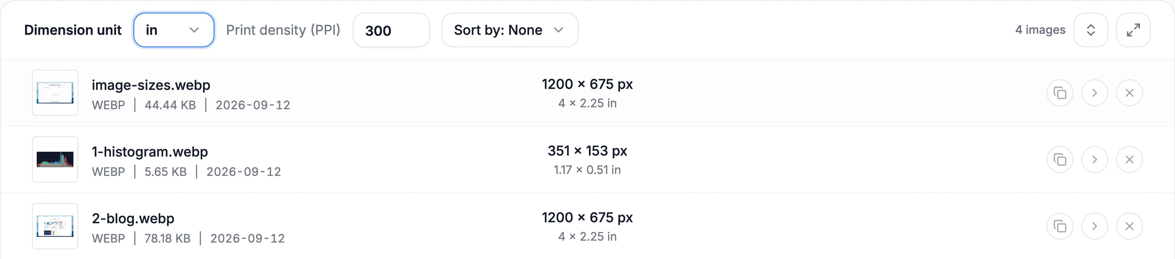 Print size in inches shown under the pixel dimensions of each image at 300 PPI