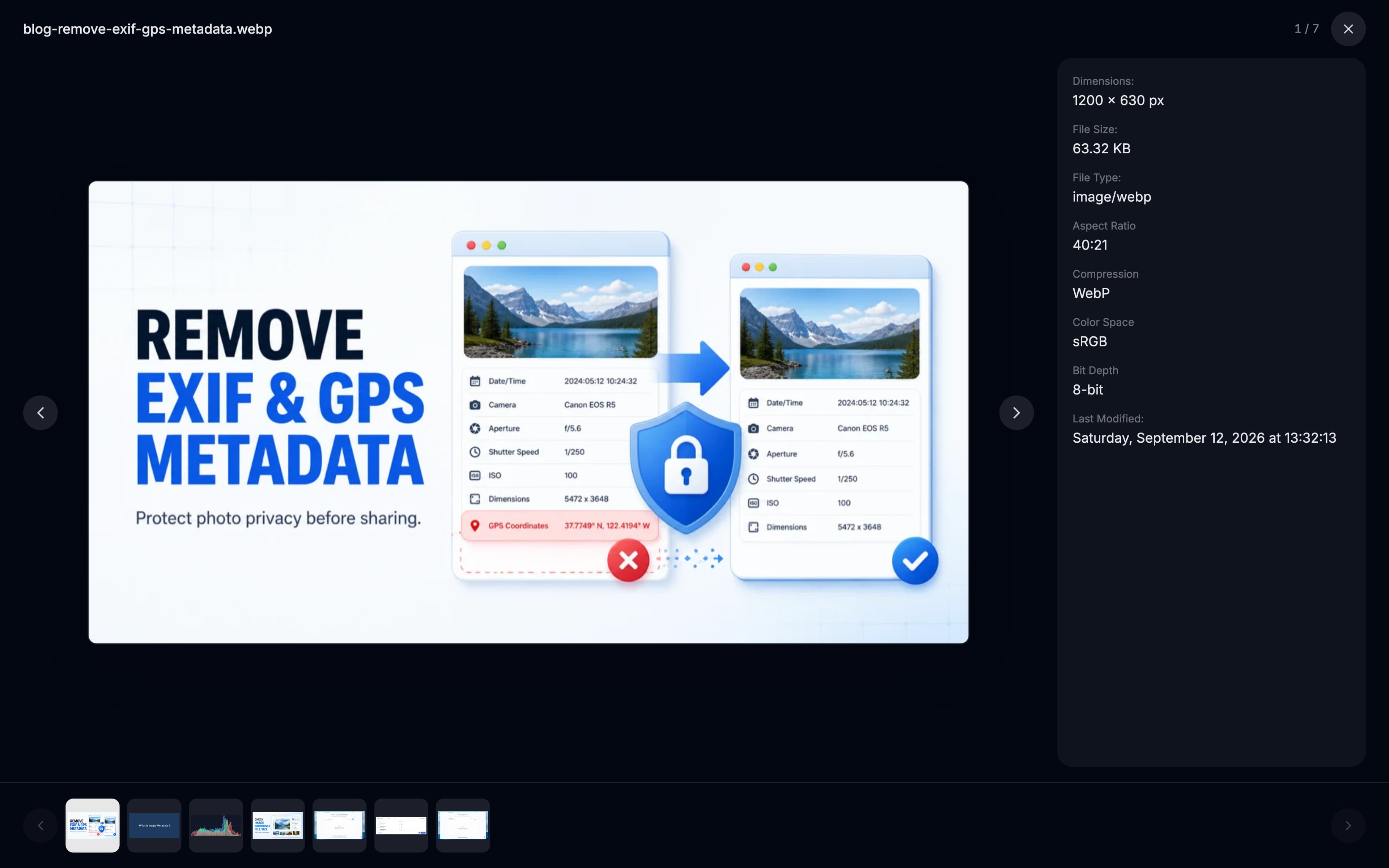 The image viewer showing one image full size with its metadata panel and a thumbnail strip